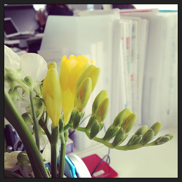 719f7e5e8b0211e29a3e22000a1f90ce_7