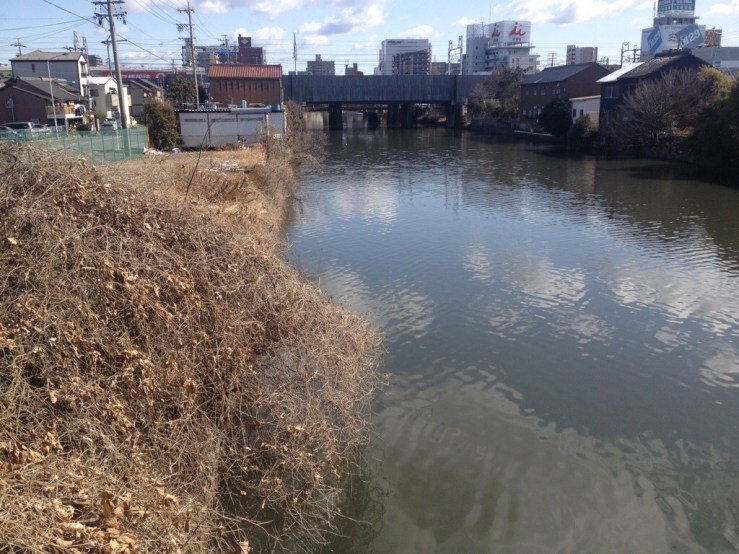 20140505-133925.jpg